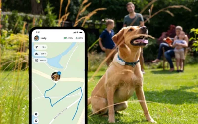 GPS für Hunde