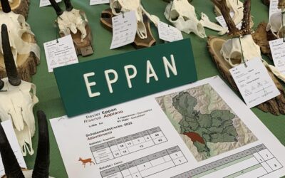 Ergebnisse der Lotterie HEGESCHAU in Eppan 2024