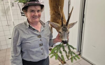 Rehbockabschuss in Laien