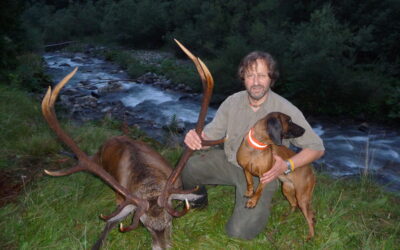 Nachsuchen nur mit geeigneten und geprüften Hunden