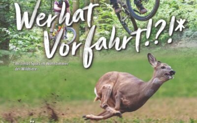 Der Wald. Ein Freizeitpark?